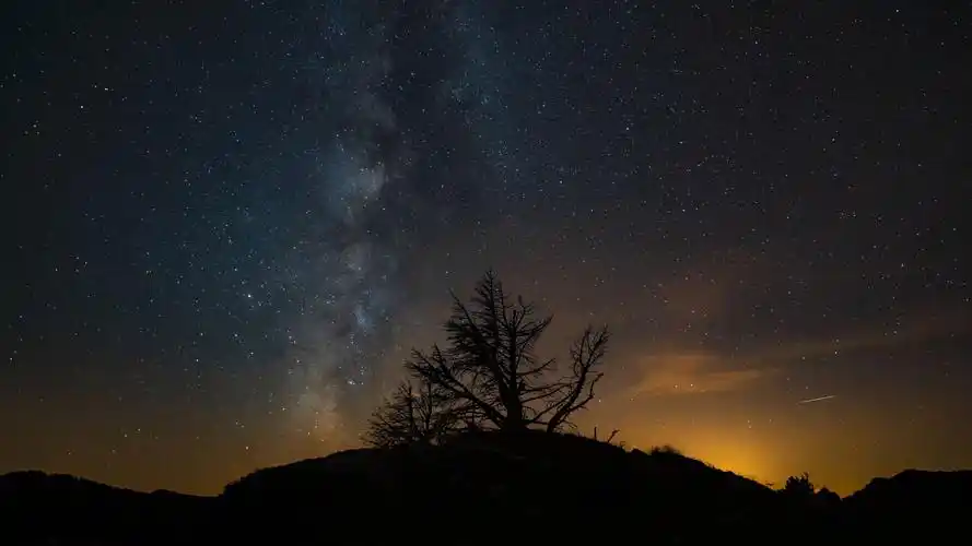 壁纸 桌面 1920_1080