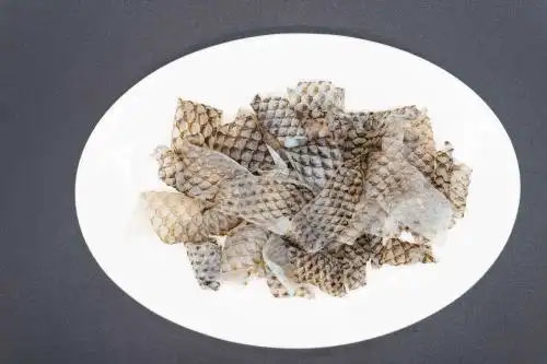 黑色背景罗非鱼皮 鱼皮