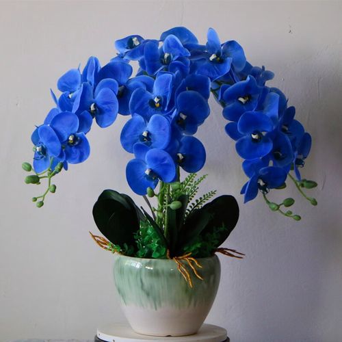 初卓假花pu过胶蝴蝶兰盆栽仿真花装饰花 6支pu蝴蝶兰蓝色 陶瓷大花盆