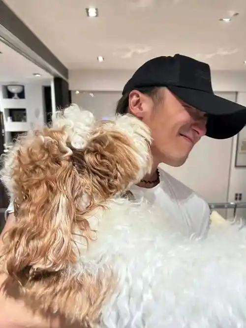 给谢霆锋庆生,闺蜜赵薇露面_生活_俞飞鸿_女性