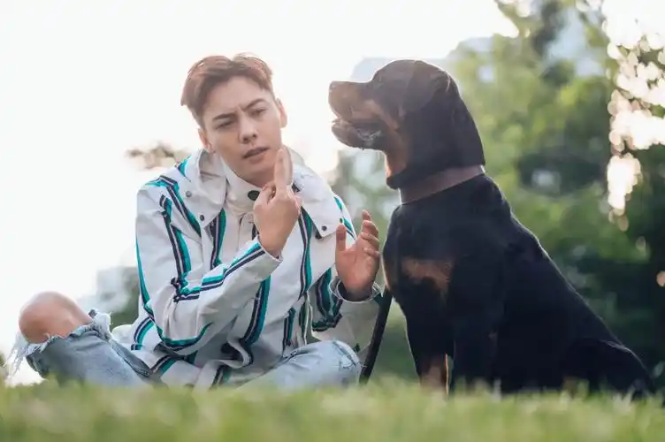 陈伟霆与"豪七"谈心