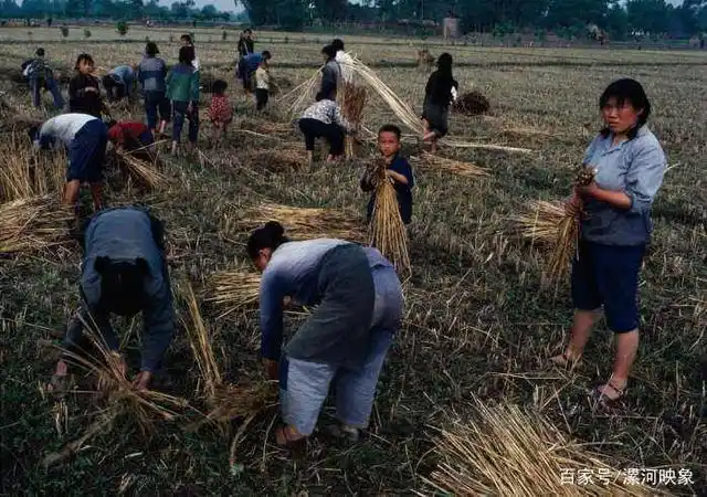 为什么以前人们生育意愿高,现在各方面补贴生二胎好多人不愿意?