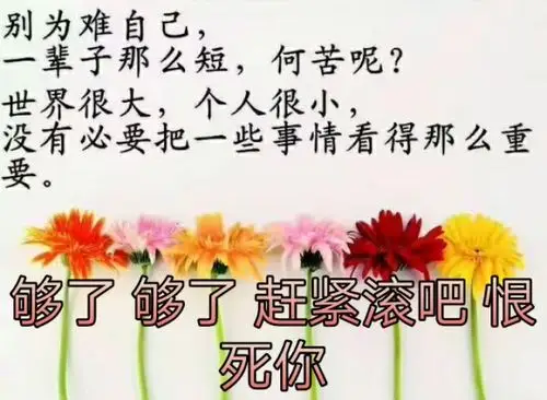 滚最好滚远点,你不配… 2年前