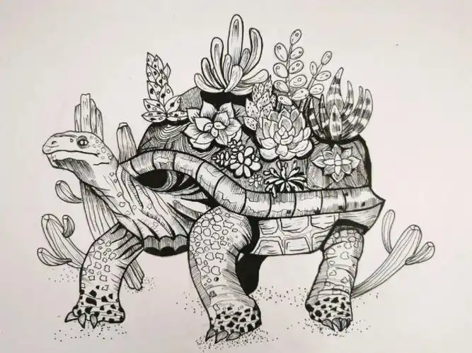 黑白装饰画动物素材积累详细教程