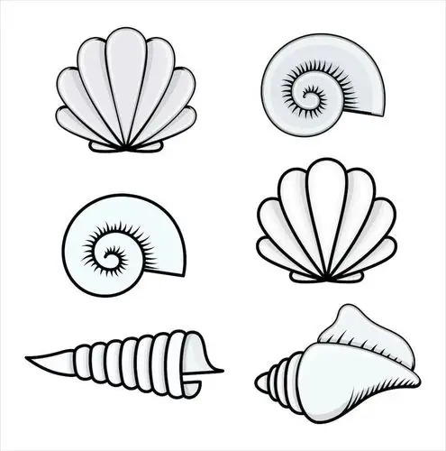 千幼学前3班美术课《美丽的贝壳》