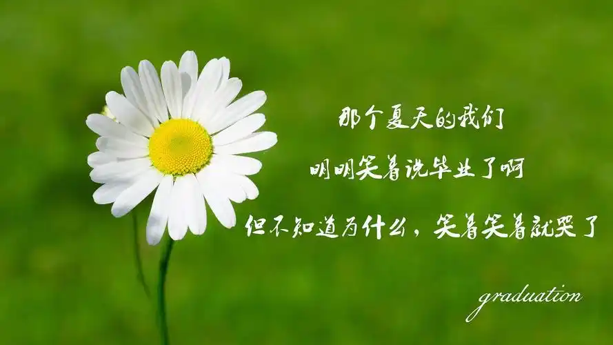 文字控毕业季壁纸