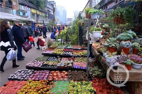 巴渝笑星"白小军"收关门弟子丨重庆火锅,小面官方英文翻译出炉