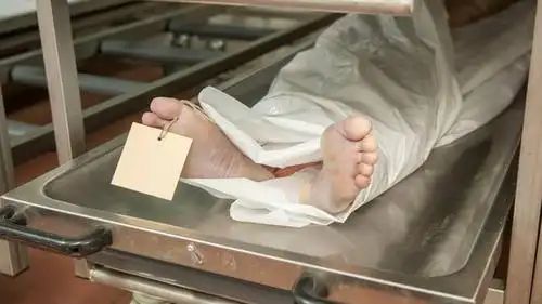 forensic scientist fired after being caught having