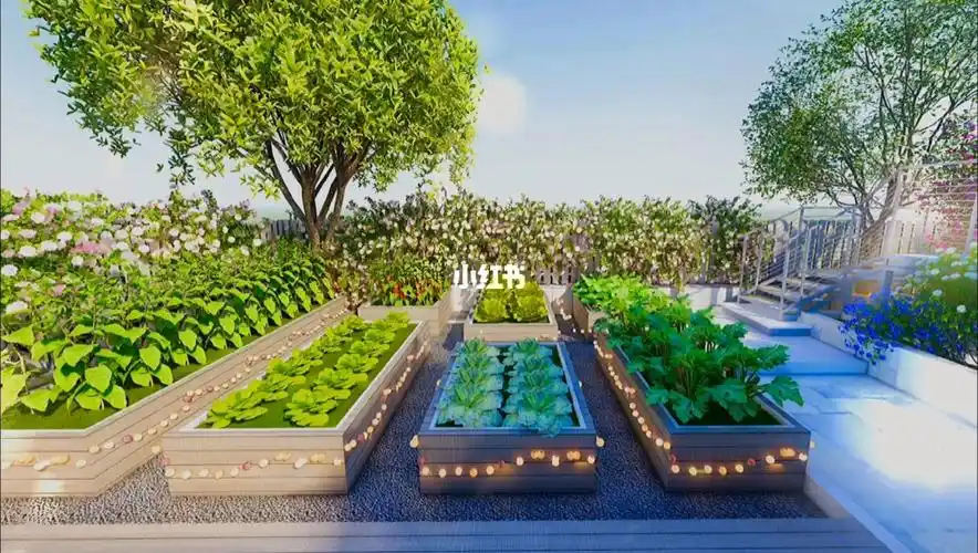 露台花园菜地效果