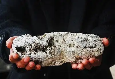 全世界最名贵的3种屎每一种都价值不菲网友屎都吃不起了