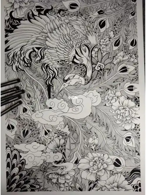 黑白线描画练习