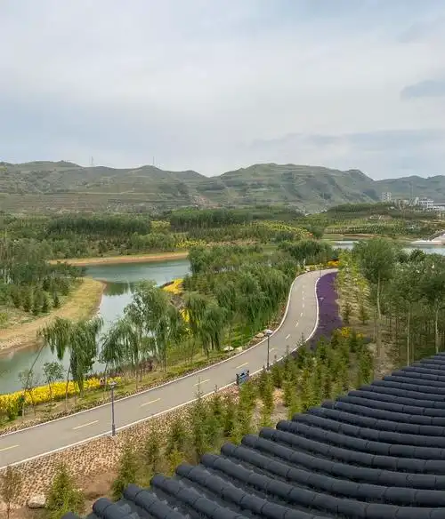 青海省西宁市湟中区多巴镇下扎扎村