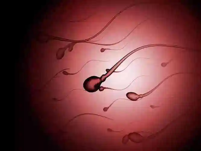 精子是什么颜色