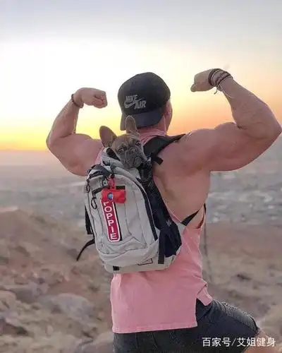 健身健美壁纸1027期,肌肉男