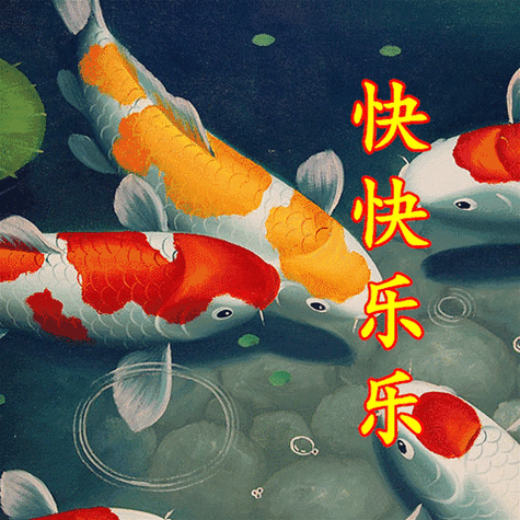 祝大家好运从头来送个大家转运锦鲤图二月二快到了福星高照,鸿运当头