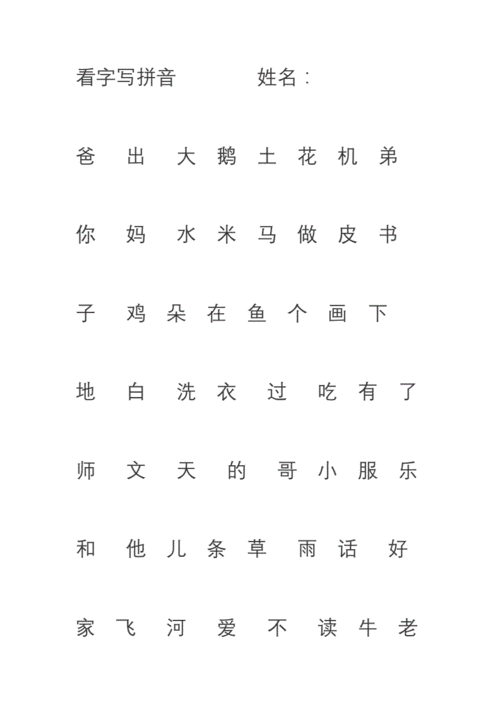 看字写拼音姓名doc2页