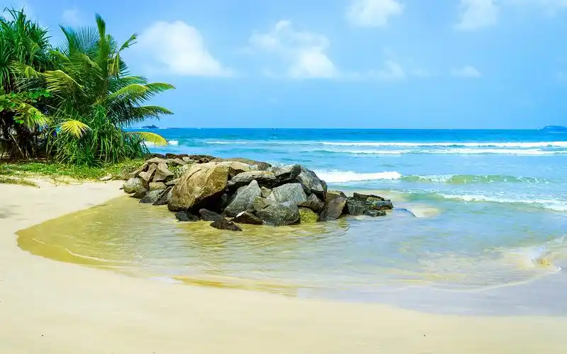 海滩,大海,礁石,椰树,沙滩,夏天,风景,被风吹过的夏天海滩壁纸图片