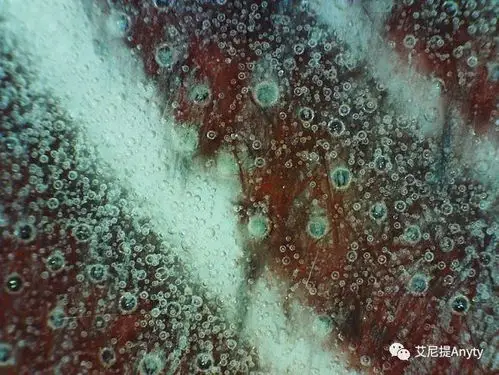 收藏家谈宋元瓷器鉴定方法之气泡鉴定法