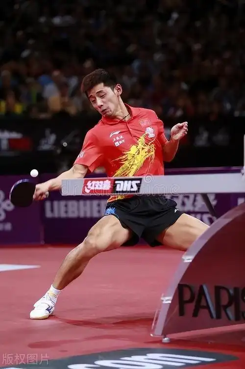 张继科:445天最快大满贯得主,你们陪我一程,我记你们一生