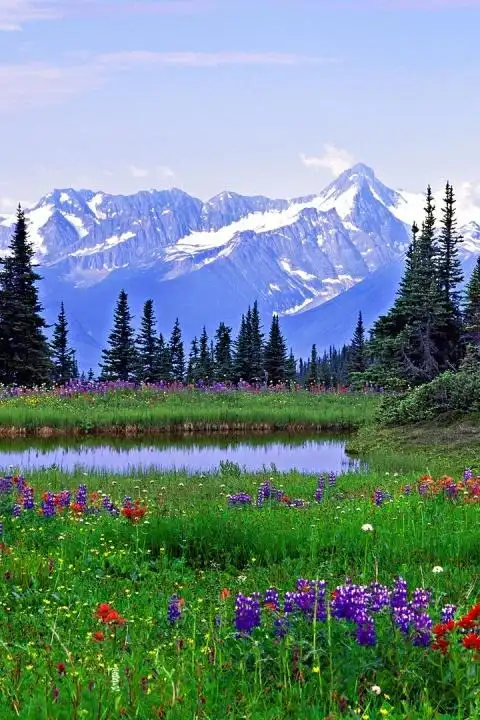 最新清新大自然美景高清壁纸下载