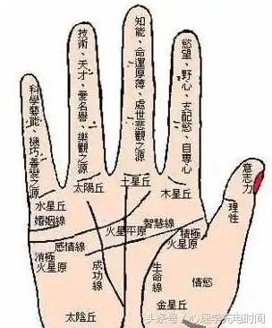 你的食指和无名指哪个长 怎么看食指和无名指哪个长 - 情书号