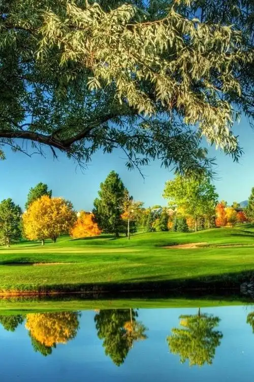 1200_1800竖版 竖屏