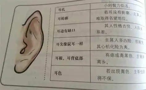 耳朵看相