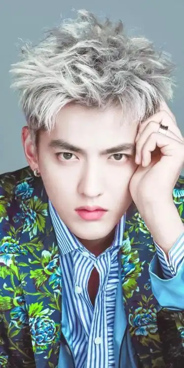 2k手机竖屏分辨率720x1440吴亦凡白发休闲西装壁纸