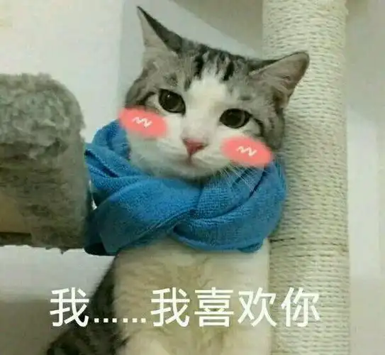 撩男朋友的猫咪搞笑表情包30张