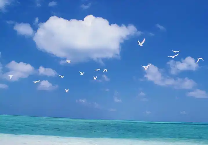 有关蓝色的文艺句简短大全(蓝色浪漫文艺小清新句子文案) - 好文吧