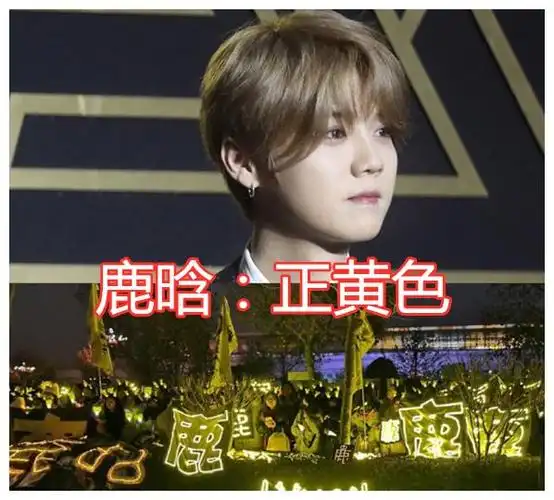 爱豆"应援色"都是啥?王一博绿海,鹿晗黄海,看到张杰:是心动