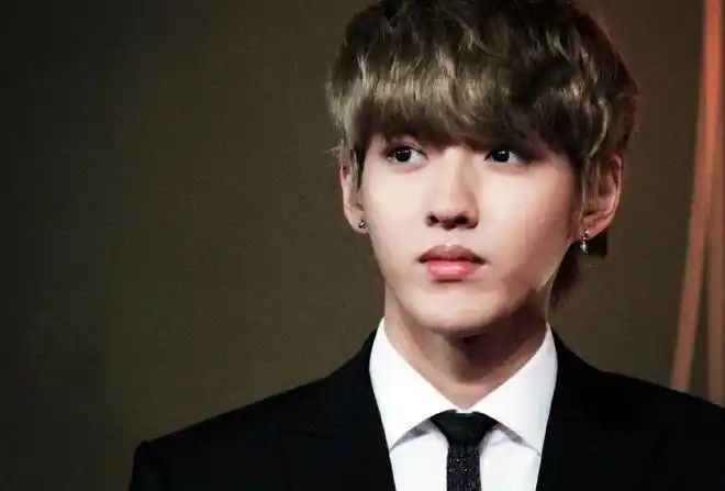 吴亦凡1990年出生,2012年吴亦凡正式出道,当时他22岁.