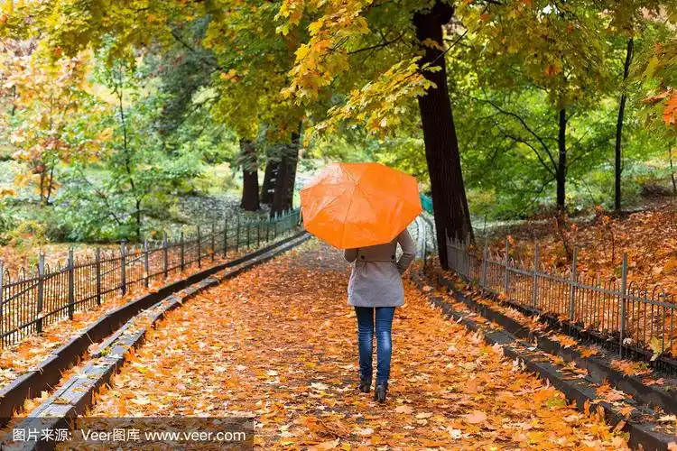 年轻女子撑着伞在美丽的秋天公园里.