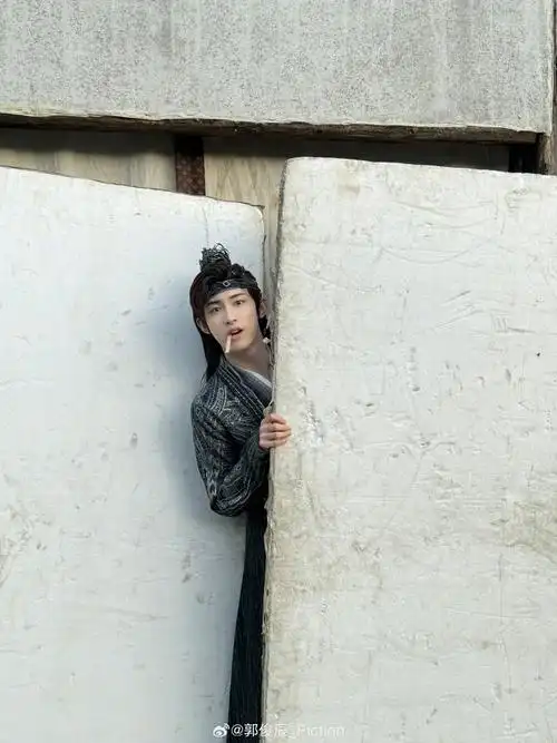 郭俊辰_fiction
