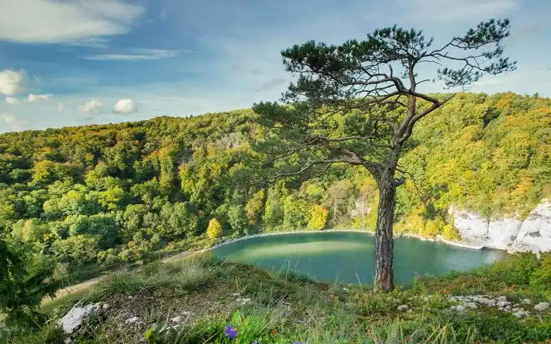 自然,植物,树木,风景,水,湖(trees,nature,landscape,water,lake)壁纸