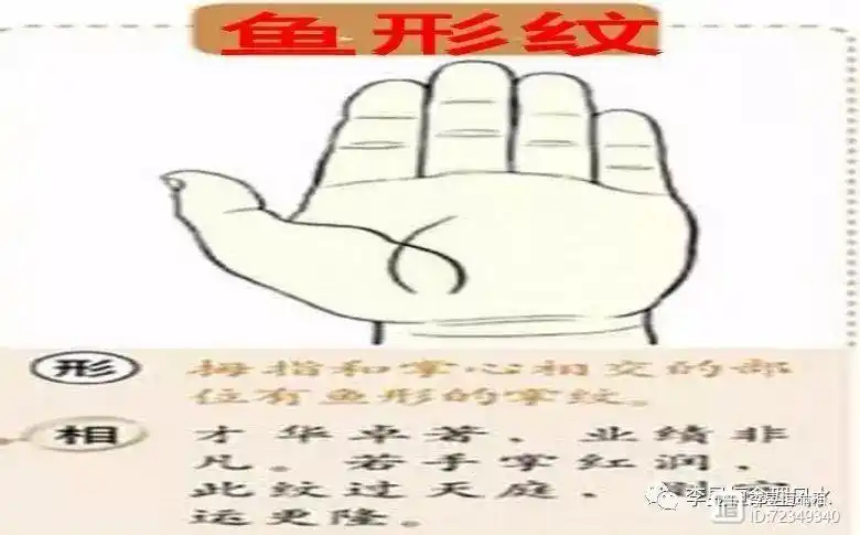 手相手有鱼纹富贵一生老婆貌美内助