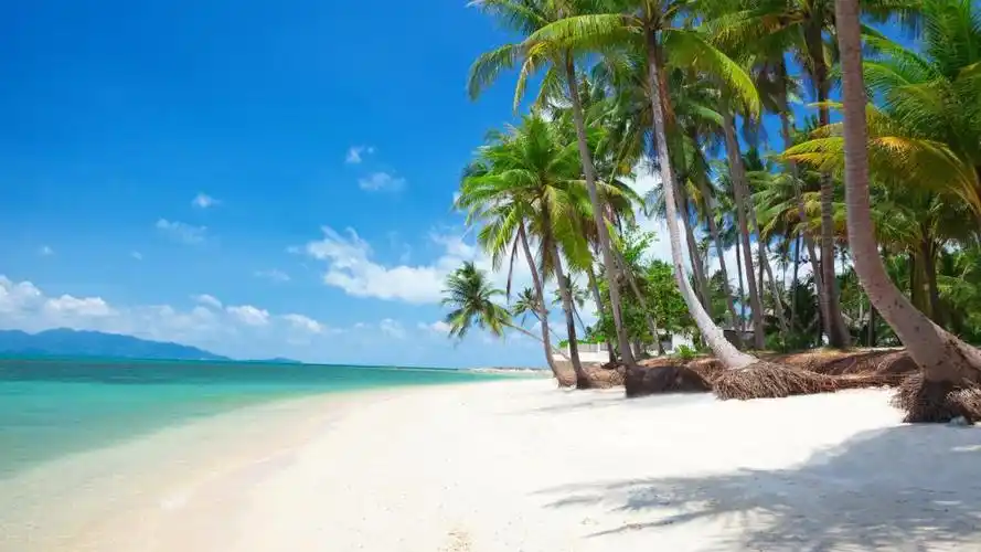 小清新图片油菜花图片星空图片手绘图片淡雅图片瀑布图片美女图片唯