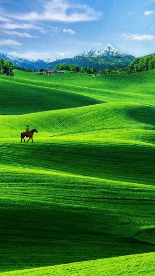 绿色草地背景图壁纸 - 抖音