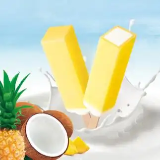 明治 椰子菠萝雪糕480g(48g*10支)