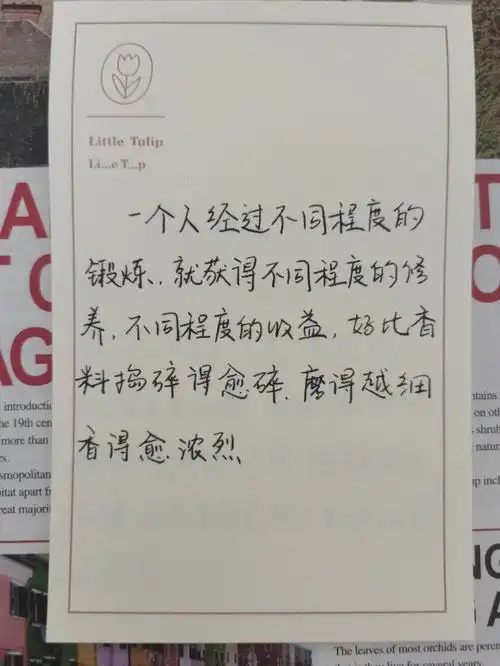 手写摘抄杨绛经典语录100岁感言