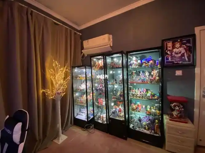 手办合集传说中的宅女一面墙