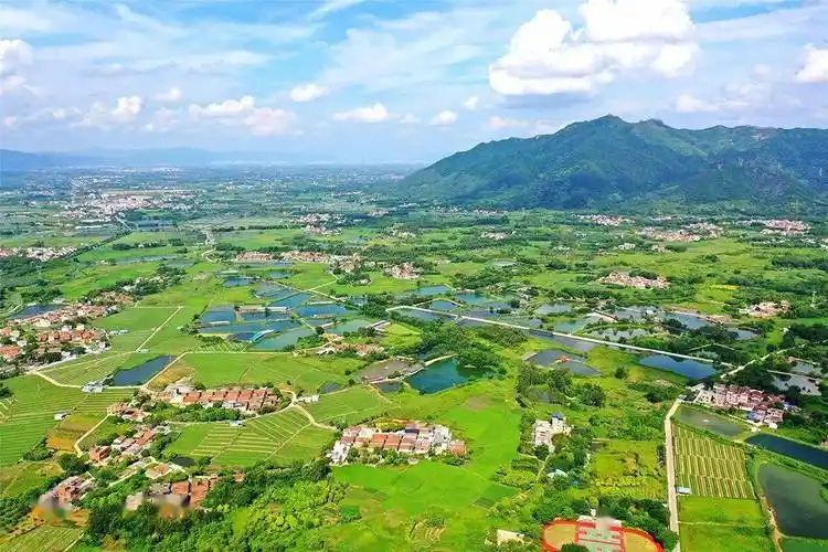 有一种绿叫四会绿森林覆盖率达5529