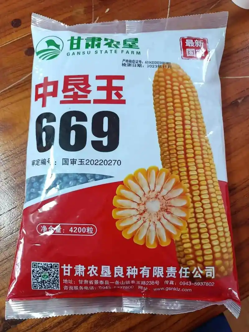 名门新秀,值得珍惜和拥有!#高产玉米种子 #矮杆大棒玉米种  - 抖音