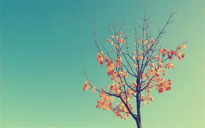 精选非主流治愈系唯美怀旧风景高清图片桌面壁纸下载