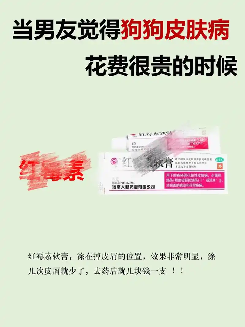 宠物店上班,说点皮肤病的大实话!红霉素: 红霉素软膏,涂在掉 - 抖音