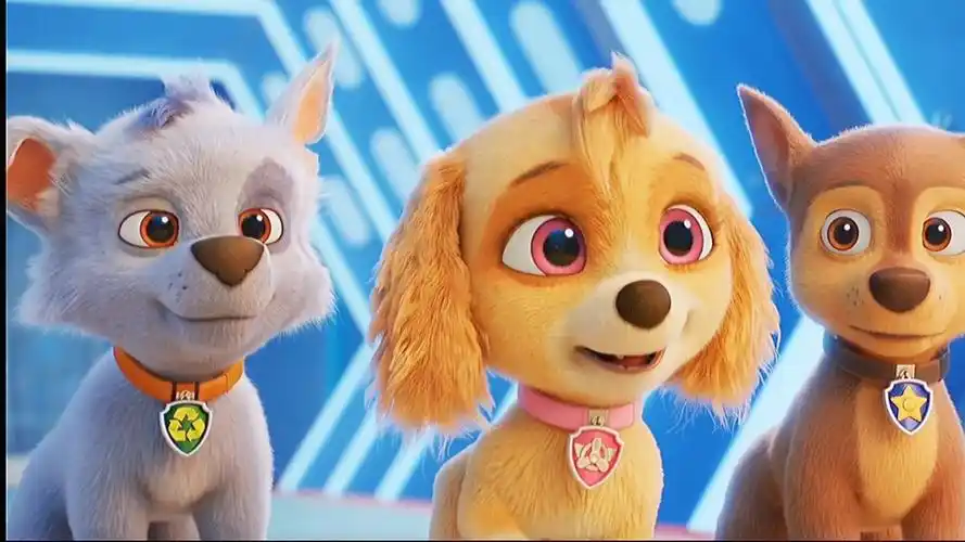 汪汪队立大功:超威狗狗,天天特辑