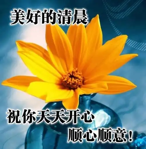 的早上好问候语表情包动态图片新的一天早上好快乐的早晨送你健康平安