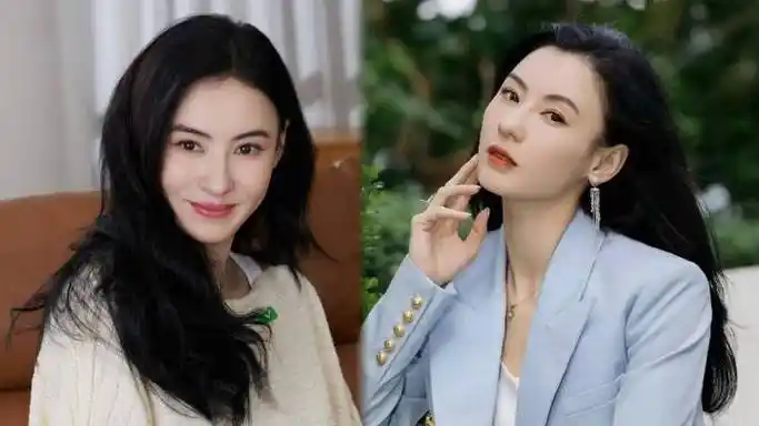 孙东海再与张柏芝撇清关系是在炒作吗