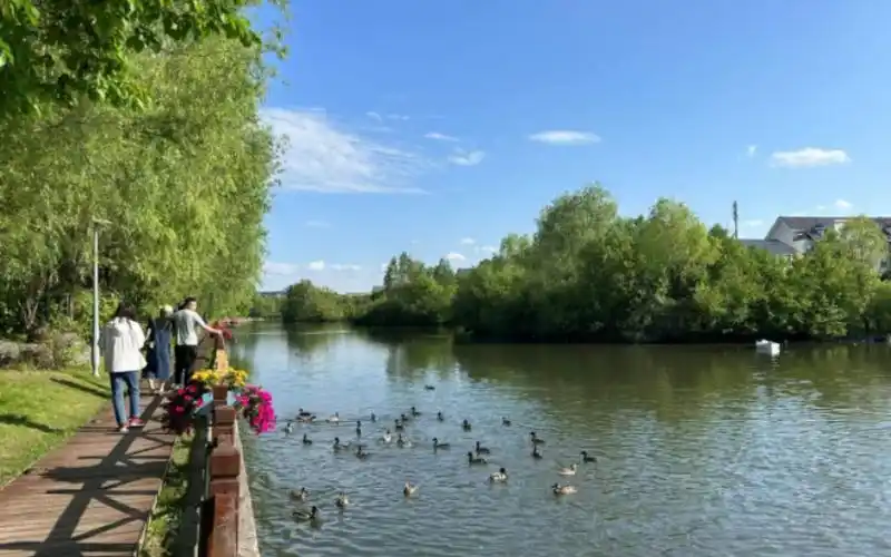 旅游vlog49——二道白河镇中华秋沙鸭公园