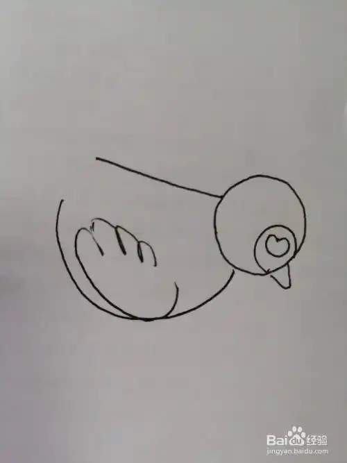 第五步,接着继续画出可爱的小鸟的小翅膀,翅膀画法也比较简单.